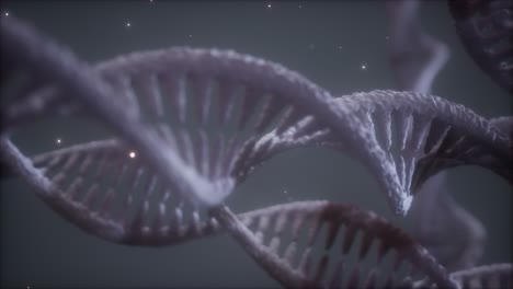 Doppelhelikale-Struktur-Der-DNA-Strang-Nahaufnahme-Animation